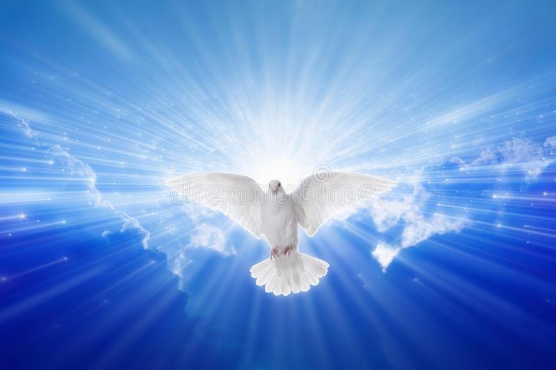Holy Spirit Dove